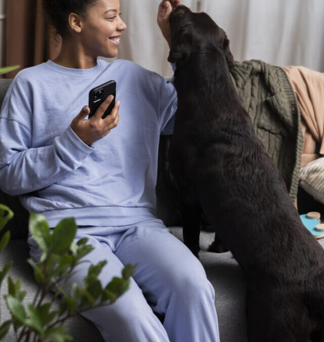 Pets no condomínio: quais são as regras?